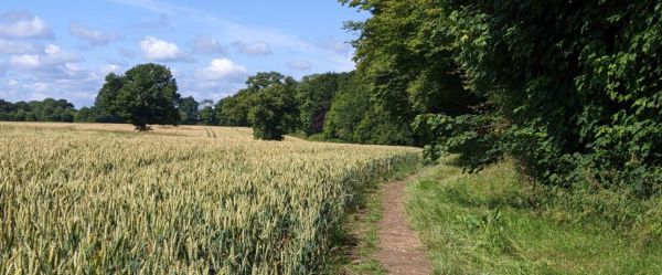 Chiltern Way 